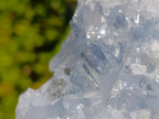 Natural Blue Celestite Vug Specimen x 1 From Sakoany Madagascar