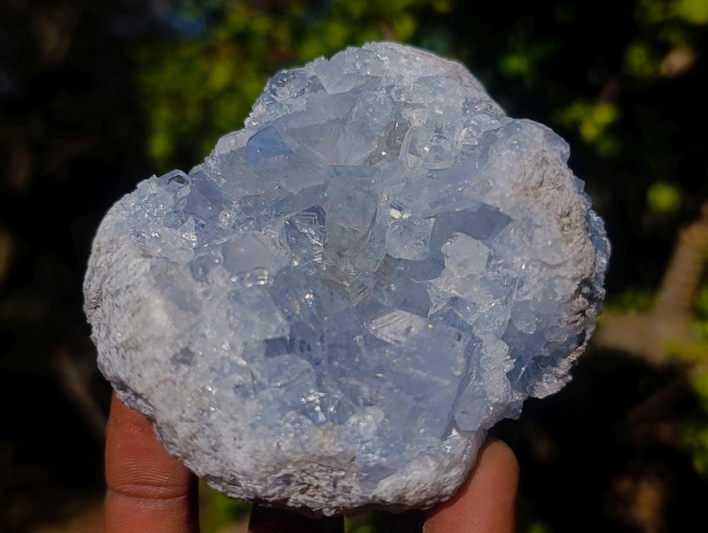Natural Blue Celestite Vug Specimen x 1 From Sakoany Madagascar