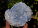Natural Blue Celestite Vug Specimen x 1 From Sakoany Madagascar