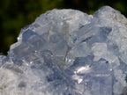 Natural Blue Celestite Vug Specimen x 1 From Sakoany Madagascar