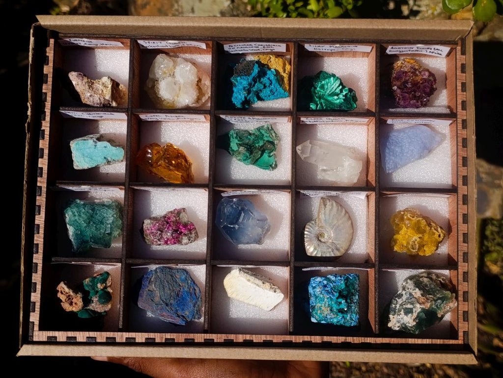 Natural Mix Set of 12 African Specimens in a Wooden Display Box x 1 From Southern Africa