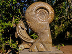 Hand Made XXL Superb Dolphin and Perisphinctes Ammonite Fossil Sculpture x 1 From Tulear, Madagascar
