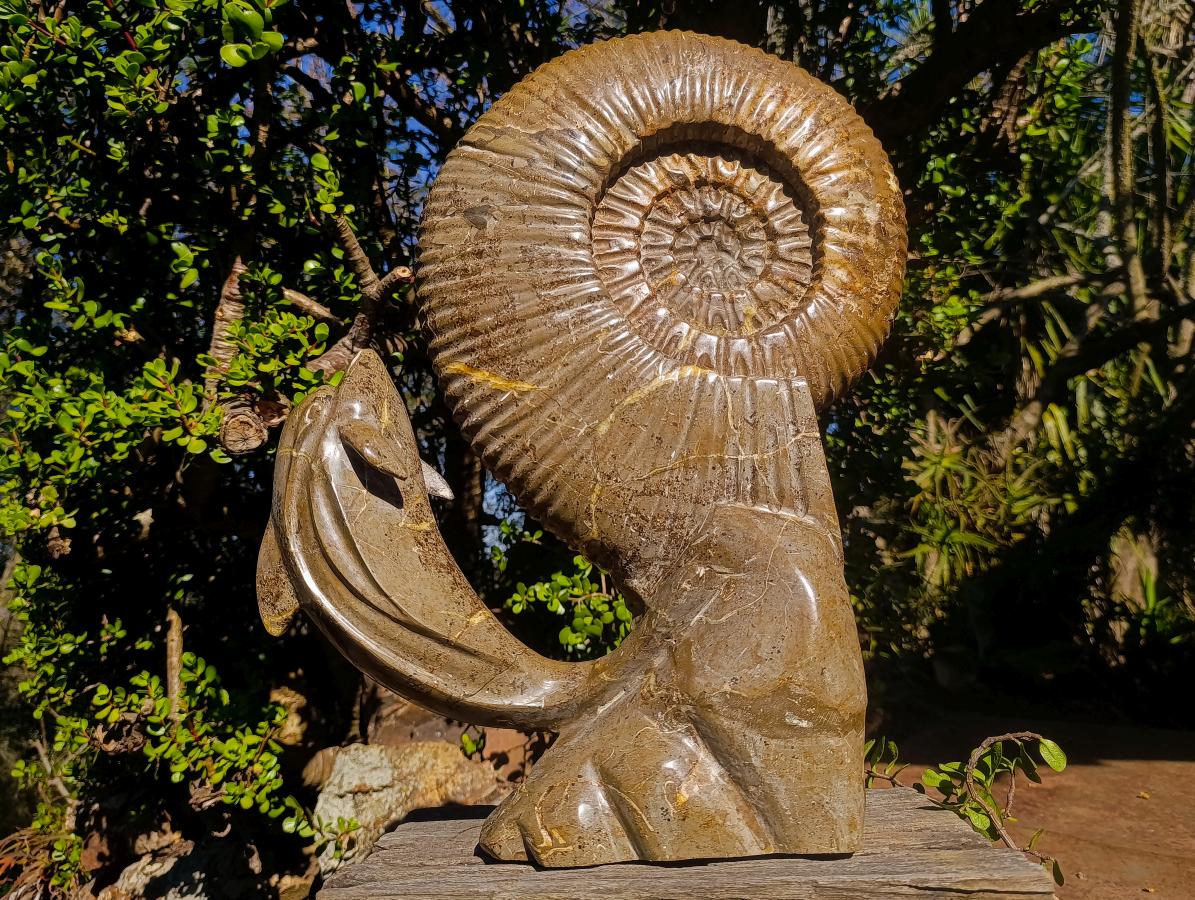 Hand Made XXL Superb Dolphin and Perisphinctes Ammonite Fossil Sculpture x 1 From Tulear, Madagascar