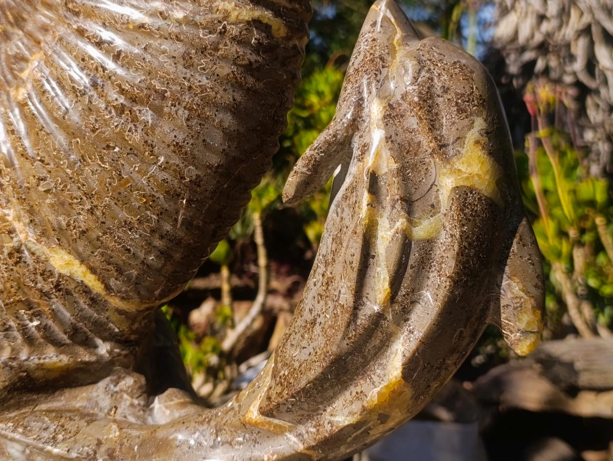 Hand Made XXL Superb Dolphin and Perisphinctes Ammonite Fossil Sculpture x 1 From Tulear, Madagascar