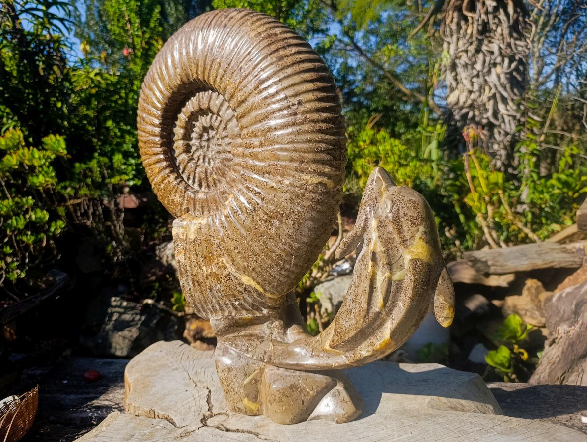 Hand Made XXL Superb Dolphin and Perisphinctes Ammonite Fossil Sculpture x 1 From Tulear, Madagascar