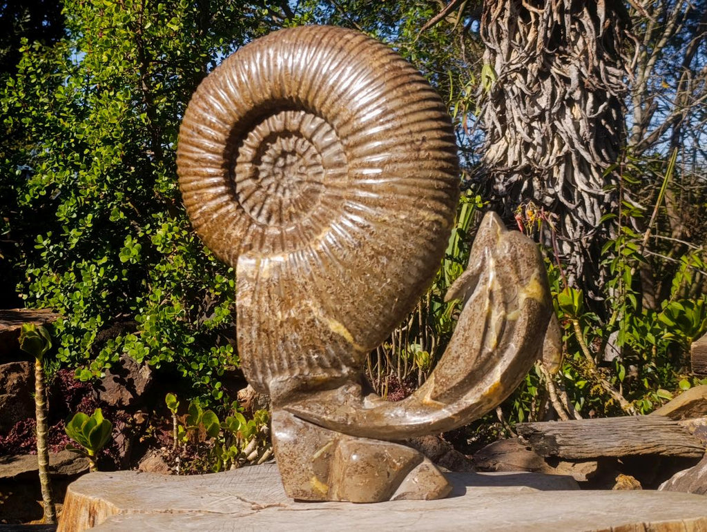 Hand Made XXL Superb Dolphin and Perisphinctes Ammonite Fossil Sculpture x 1 From Tulear, Madagascar