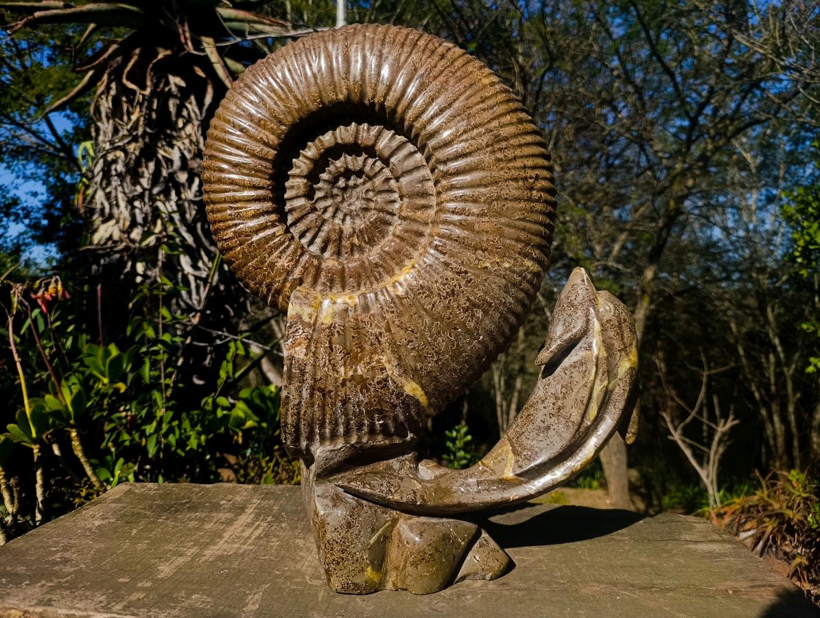Hand Made XXL Superb Dolphin and Perisphinctes Ammonite Fossil Sculpture x 1 From Tulear, Madagascar