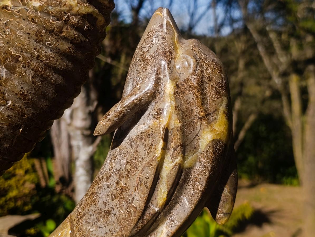 Hand Made XXL Superb Dolphin and Perisphinctes Ammonite Fossil Sculpture x 1 From Tulear, Madagascar