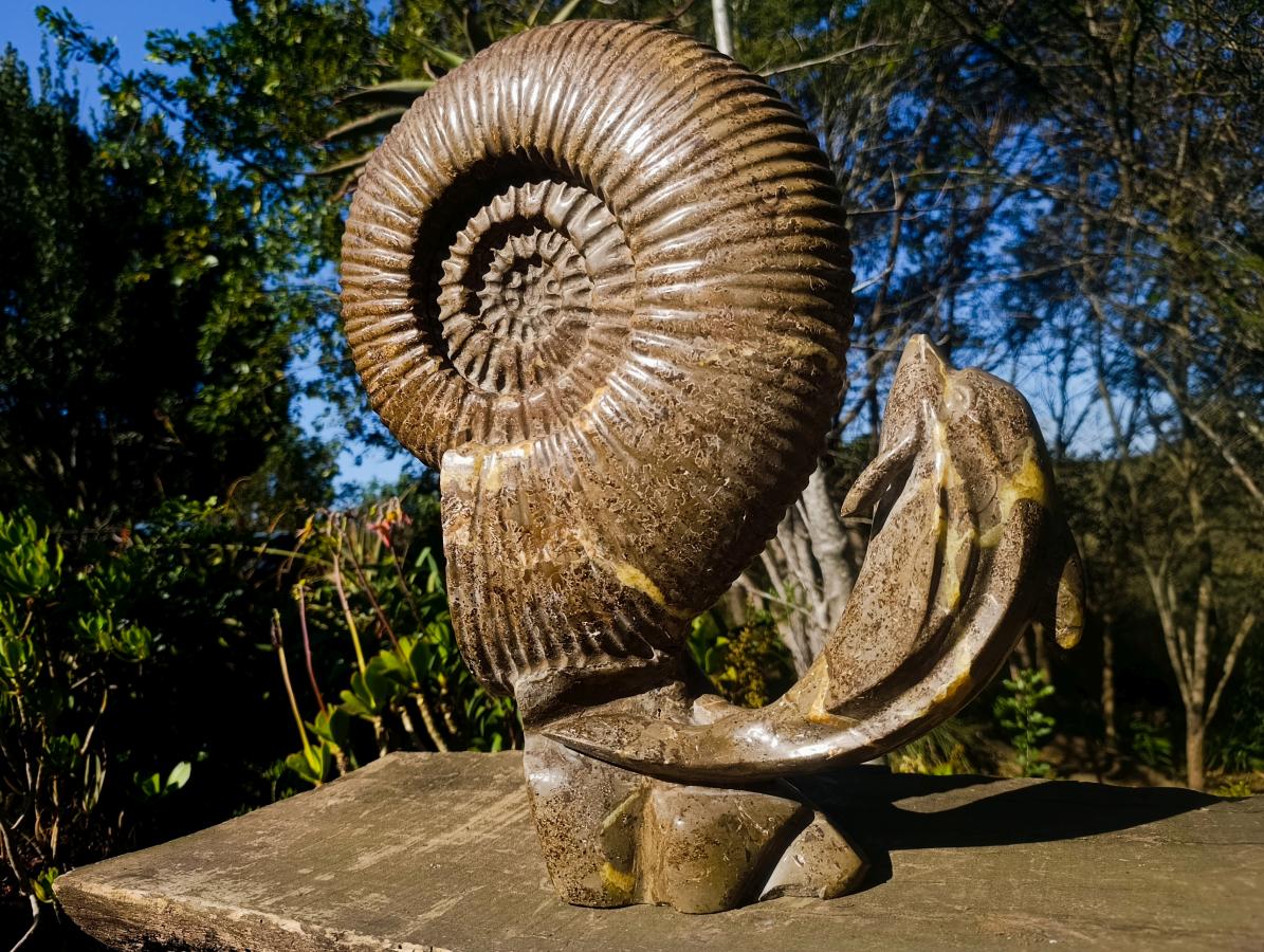 Hand Made XXL Superb Dolphin and Perisphinctes Ammonite Fossil Sculpture x 1 From Tulear, Madagascar