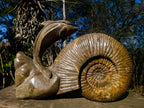 Hand Made XXL Superb Dolphin and Perisphinctes Ammonite Fossil Sculpture x 1 From Tulear, Madagascar