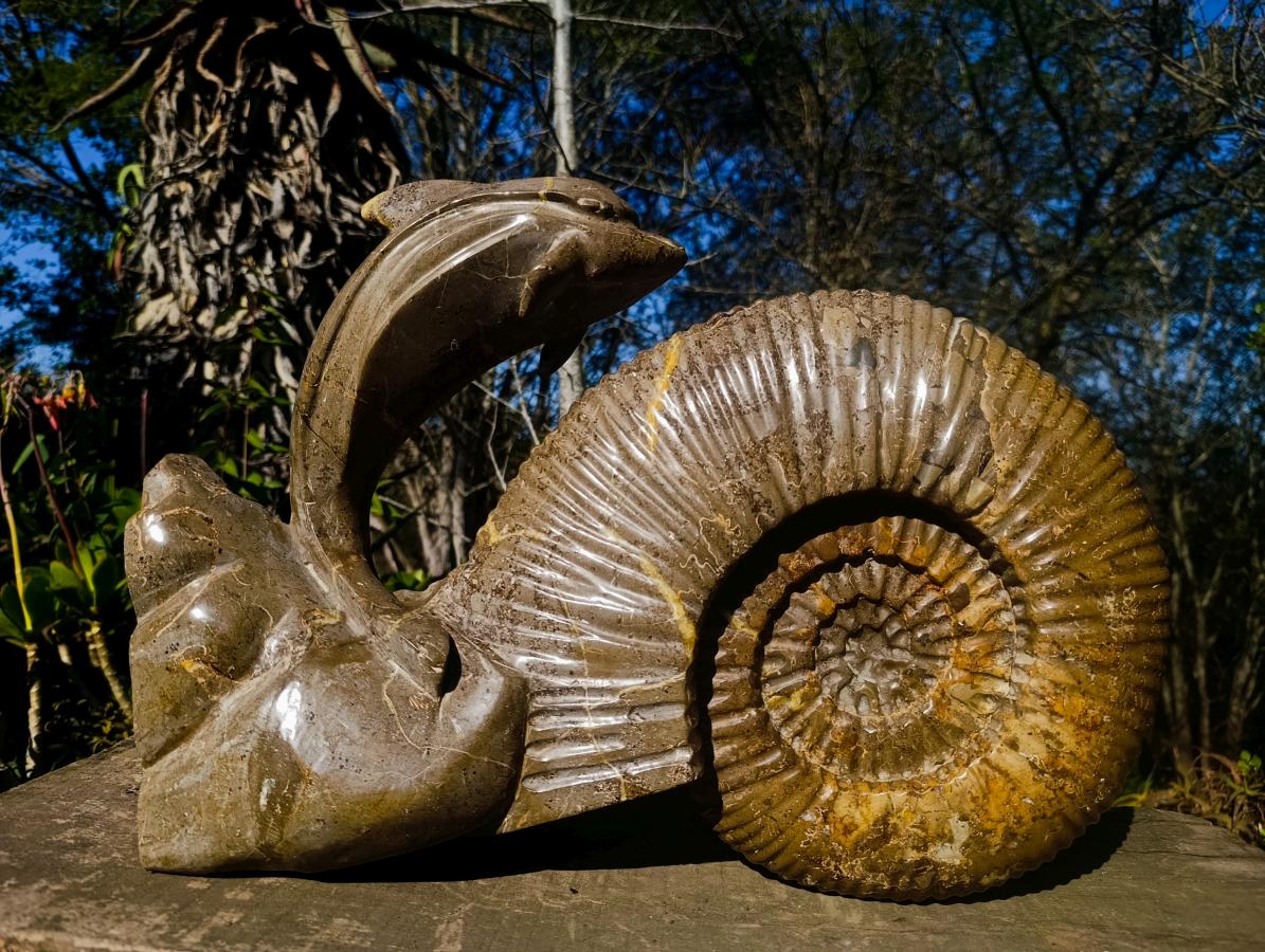 Hand Made XXL Superb Dolphin and Perisphinctes Ammonite Fossil Sculpture x 1 From Tulear, Madagascar