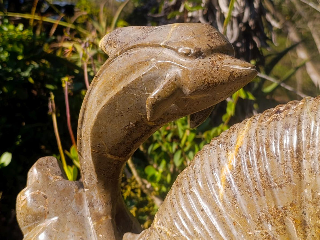 Hand Made XXL Superb Dolphin and Perisphinctes Ammonite Fossil Sculpture x 1 From Tulear, Madagascar