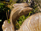 Hand Made XXL Superb Dolphin and Perisphinctes Ammonite Fossil Sculpture x 1 From Tulear, Madagascar
