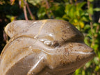 Hand Made XXL Superb Dolphin and Perisphinctes Ammonite Fossil Sculpture x 1 From Tulear, Madagascar