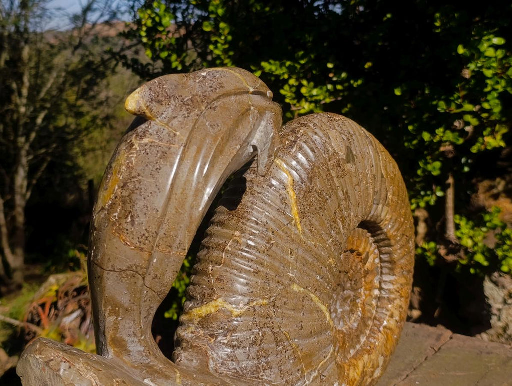 Hand Made XXL Superb Dolphin and Perisphinctes Ammonite Fossil Sculpture x 1 From Tulear, Madagascar