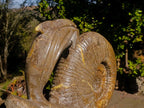 Hand Made XXL Superb Dolphin and Perisphinctes Ammonite Fossil Sculpture x 1 From Tulear, Madagascar