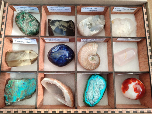 Polished Mix Set of 12 African Gemstones in a Wooden Display Box x 1 From Southern Africa