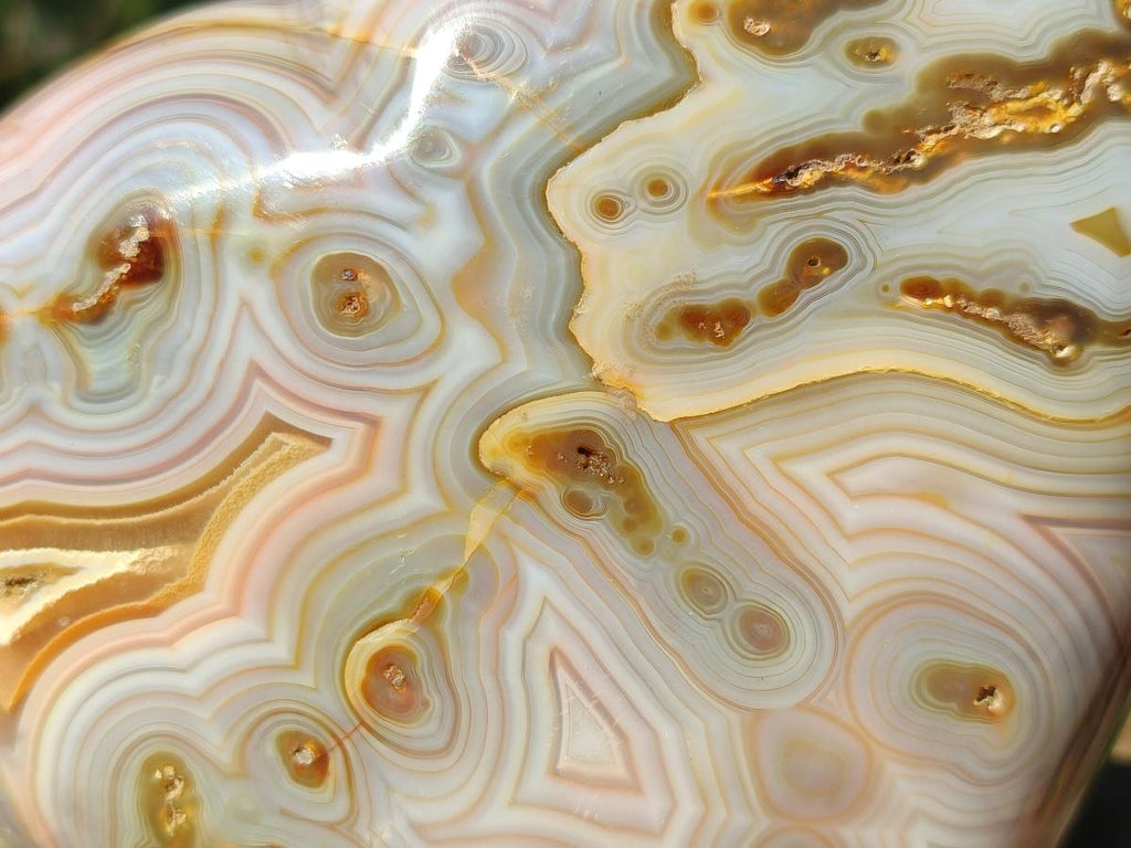 Polished Large Exquisite Agate Gemstone Heart x 1 From Lemur Island, Madagascar