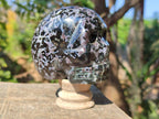 Hand Made Merlinite Gemstone Skull Carving x 1 From Madagascar