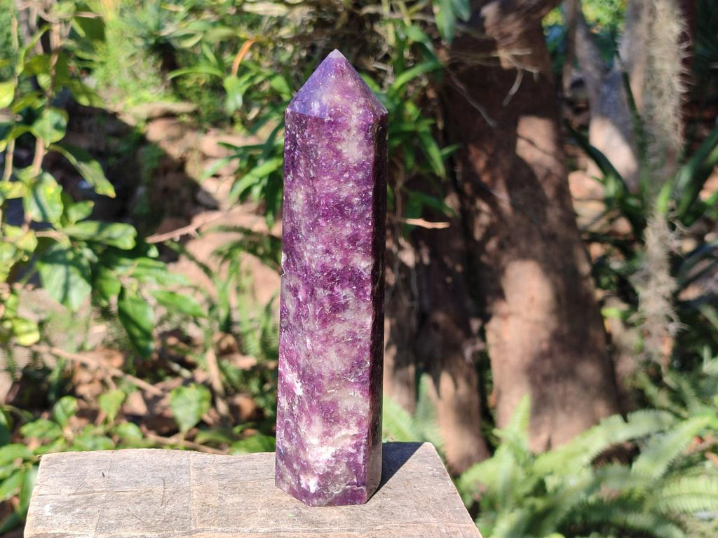Polished Gemmy Lepidolite Deep Purple Display Crystal x 1 From Madagascar