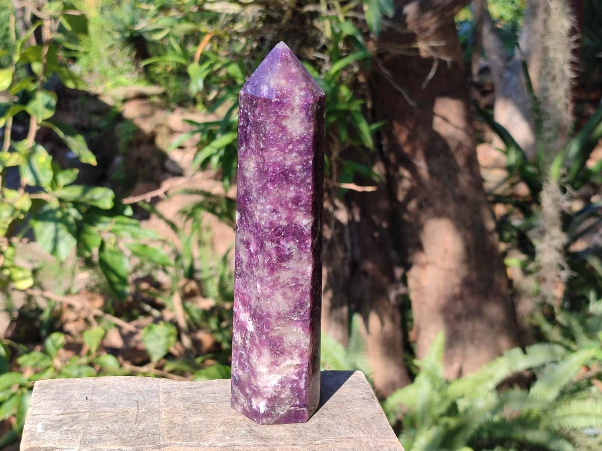 Polished Gemmy Lepidolite Deep Purple Display Crystal x 1 From Madagascar