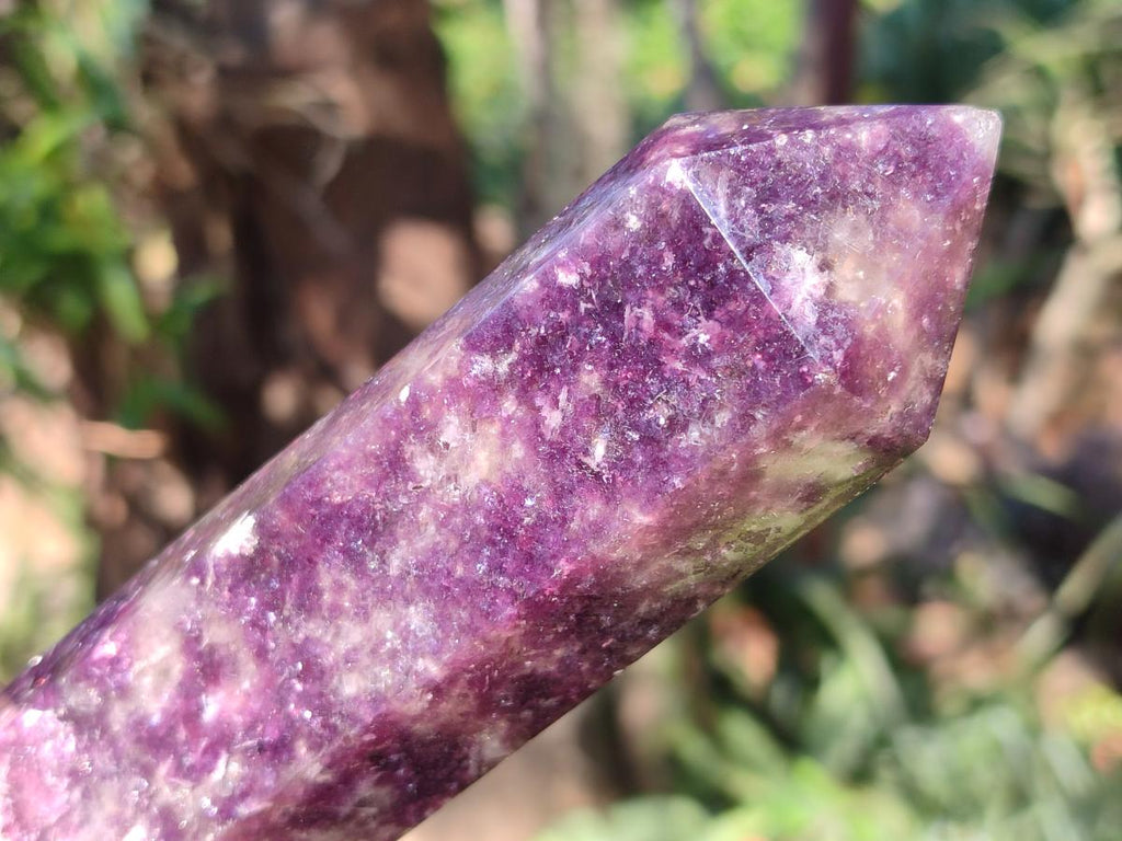 Polished Gemmy Lepidolite Deep Purple Display Crystal x 1 From Madagascar