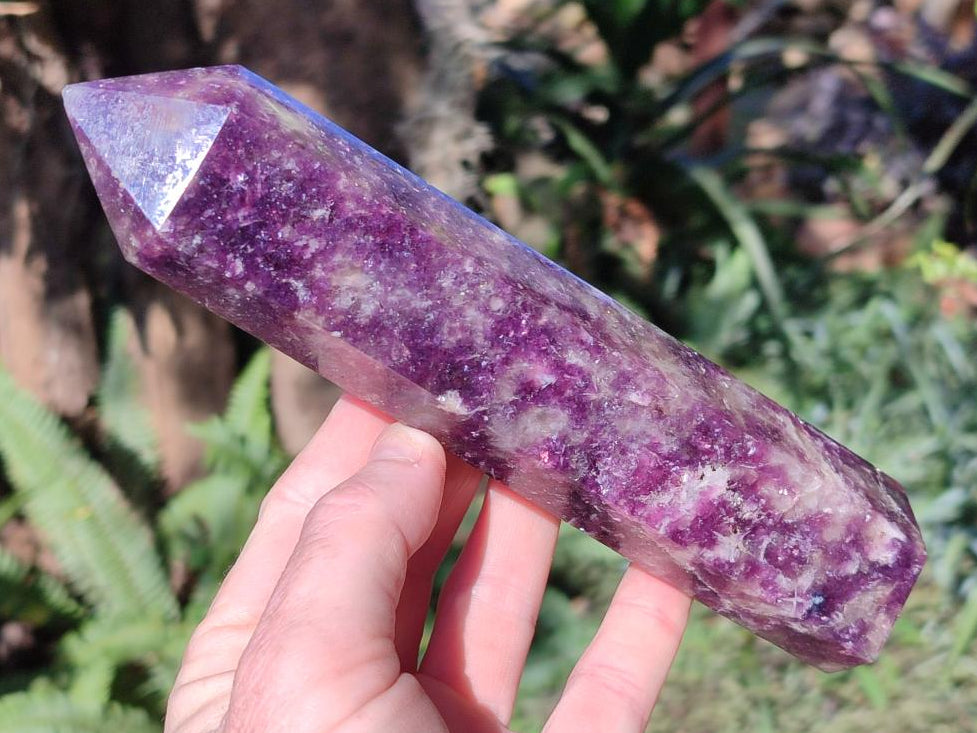 Polished Gemmy Lepidolite Deep Purple Display Crystal x 1 From Madagascar