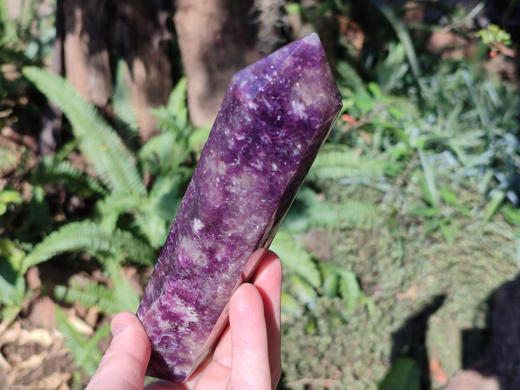 Polished Gemmy Lepidolite Deep Purple Display Crystal x 1 From Madagascar