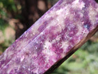 Polished Gemmy Lepidolite Deep Purple Display Crystal x 1 From Madagascar