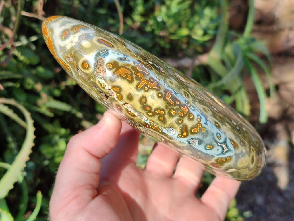 Polished Old School Orbicular Ocean Jasper Standing Display Piece x 1 From Madagascar