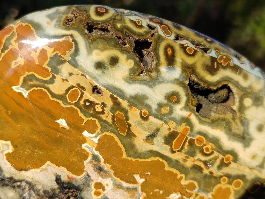 Polished Old School Orbicular Ocean Jasper Standing Display Piece x 1 From Madagascar