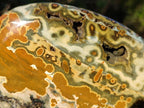 Polished Old School Orbicular Ocean Jasper Standing Display Piece x 1 From Madagascar