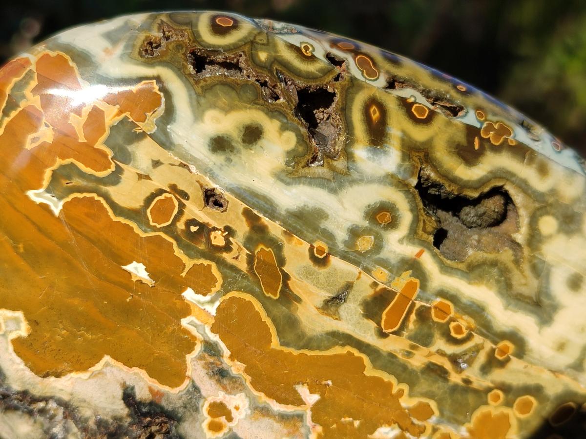 Polished Old School Orbicular Ocean Jasper Standing Display Piece x 1 From Madagascar