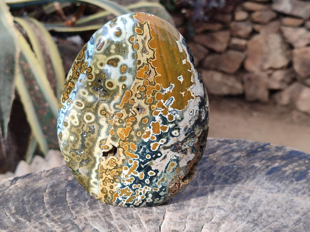 Polished Old School Orbicular Ocean Jasper Standing Display Piece x 1 From Madagascar