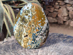 Polished Old School Orbicular Ocean Jasper Standing Display Piece x 1 From Madagascar