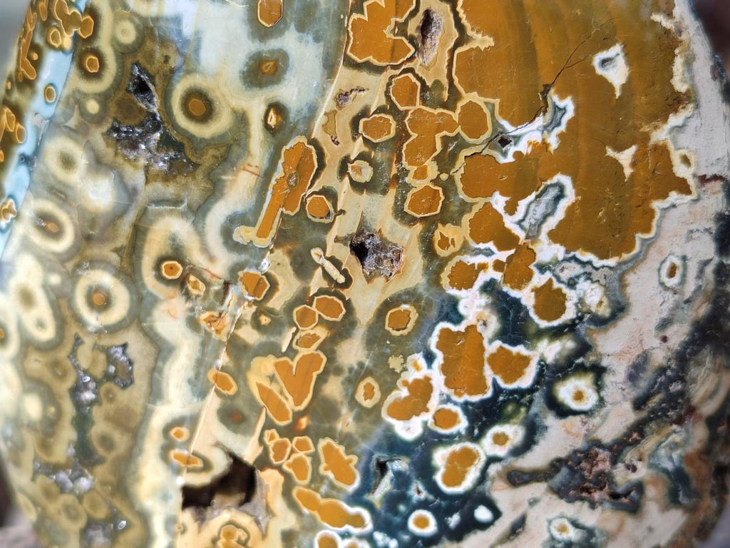Polished Old School Orbicular Ocean Jasper Standing Display Piece x 1 From Madagascar