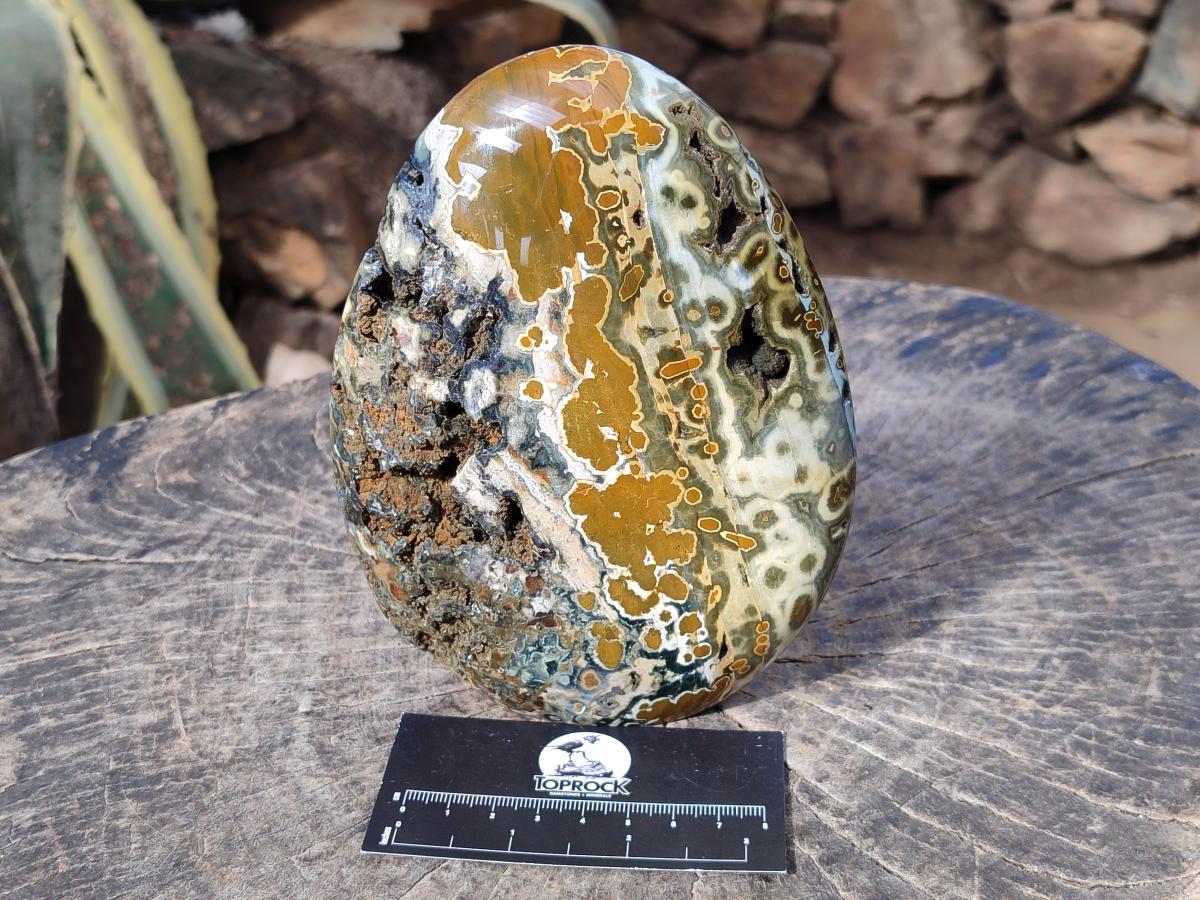 Polished Old School Orbicular Ocean Jasper Standing Display Piece x 1 From Madagascar