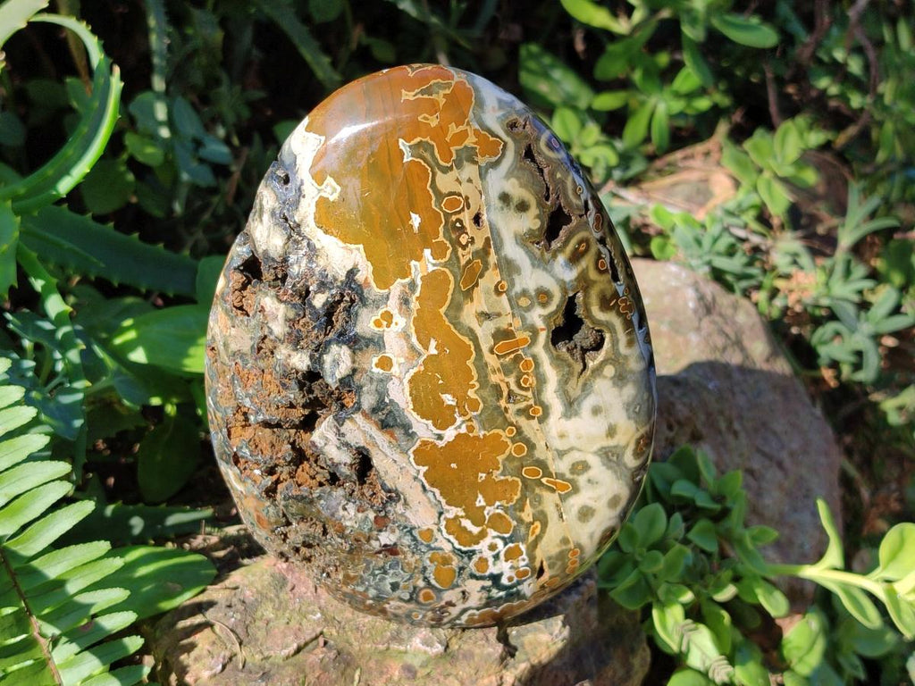 Polished Old School Orbicular Ocean Jasper Standing Display Piece x 1 From Madagascar
