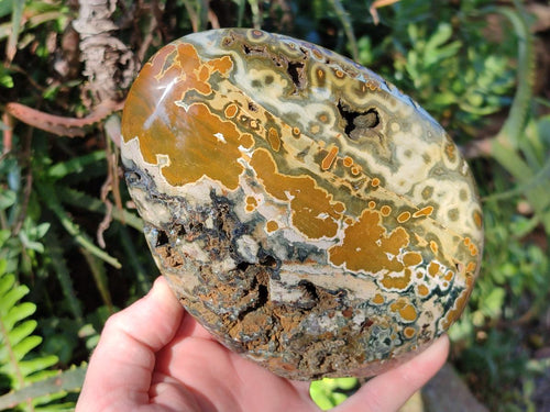 Polished Old School Orbicular Ocean Jasper Standing Display Piece x 1 From Madagascar