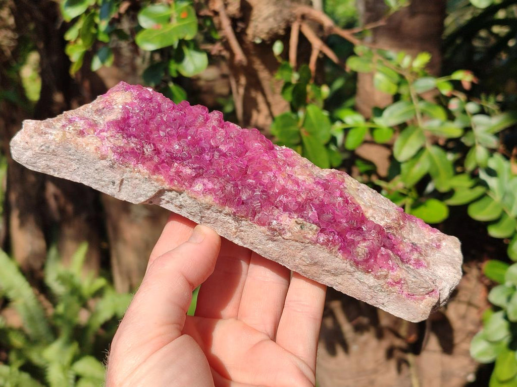 Natural Gemmy Hot Pink Cabinet Size Spherocobaltite Specimen x 1 From Mashamba West Mine, Congo