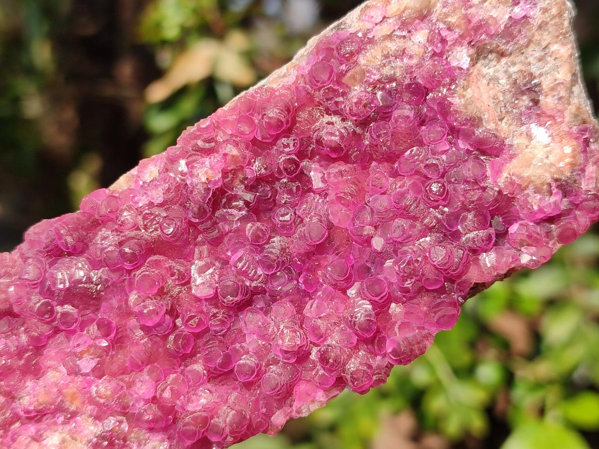 Natural Gemmy Hot Pink Cabinet Size Spherocobaltite Specimen x 1 From Mashamba West Mine, Congo