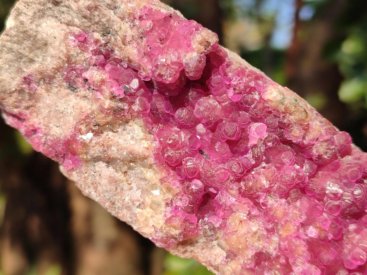 Natural Gemmy Hot Pink Cabinet Size Spherocobaltite Specimen x 1 From Mashamba West Mine, Congo