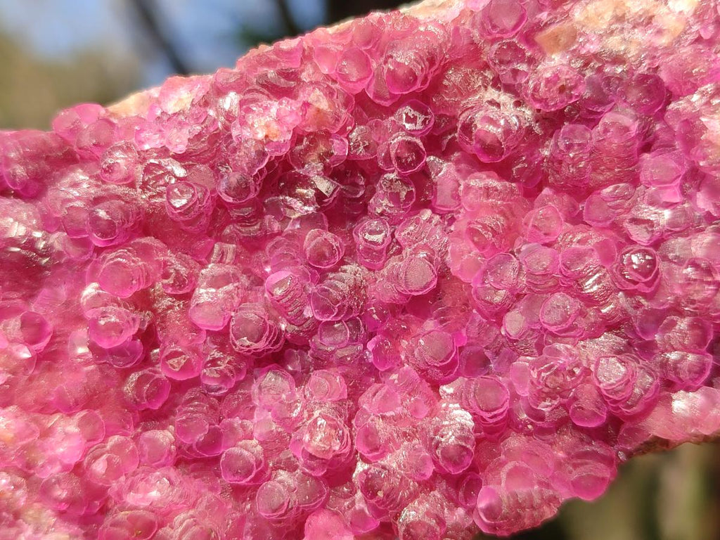 Natural Gemmy Hot Pink Cabinet Size Spherocobaltite Specimen x 1 From Mashamba West Mine, Congo
