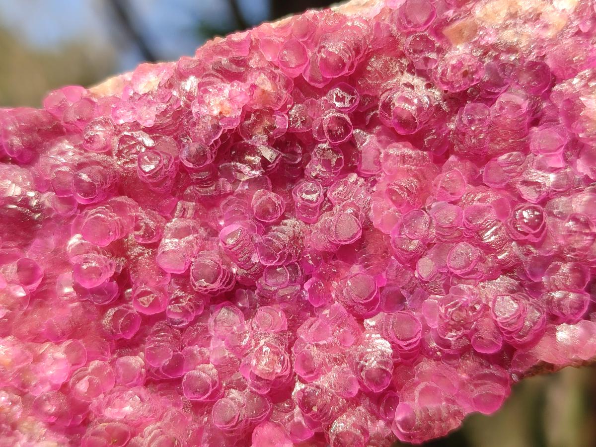 Natural Gemmy Hot Pink Cabinet Size Spherocobaltite Specimen x 1 From Mashamba West Mine, Congo