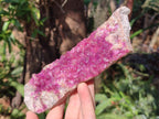 Natural Gemmy Hot Pink Cabinet Size Spherocobaltite Specimen x 1 From Mashamba West Mine, Congo