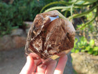 Polished Large Black Cloud Smokey Morion Window Quartz Display Crystal x 1 From Akansobe, Madagascar