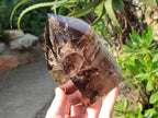 Polished Large Black Cloud Smokey Morion Window Quartz Display Crystal x 1 From Akansobe, Madagascar