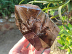 Polished Large Black Cloud Smokey Morion Window Quartz Display Crystal x 1 From Akansobe, Madagascar