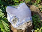 Natural Cabinet Size Blue Lace Agate Specimen with Crystalline Centre x 1 From Nsanje, Malawi