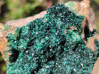 Natural Cabinet Size Crystalline Malachite Specimen x 1 From Tenke Fungurume, Congo